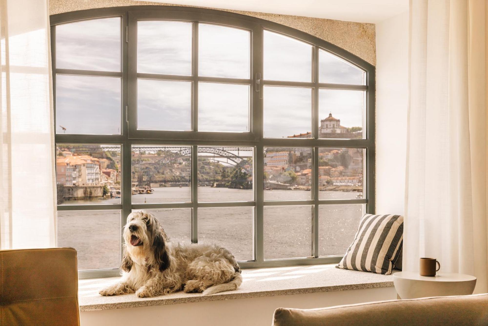 The Rebello Hotel & Spa - Small Luxury Hotels Of The World Vila Nova de Gaia Dış mekan fotoğraf A window with a dog